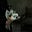 D_aa_11's avatar