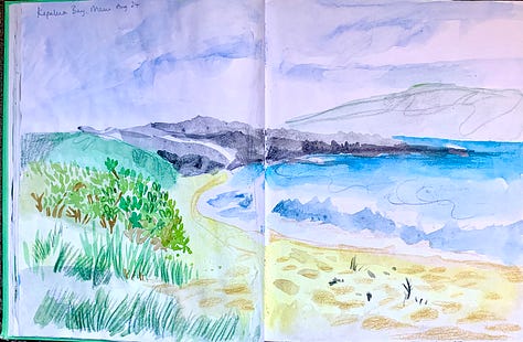 Mixed media illustrations using watercolour, pencils and chalk pastels