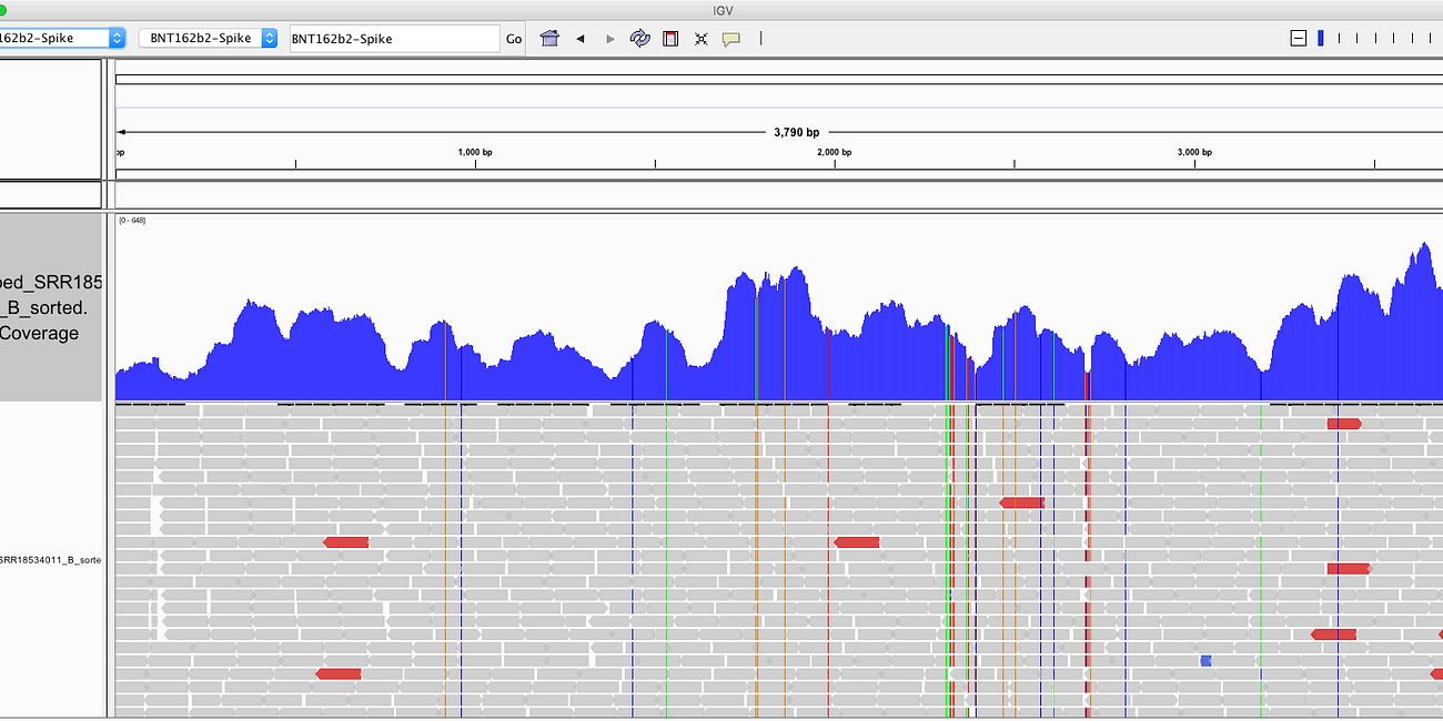 Chakraborty Open Review