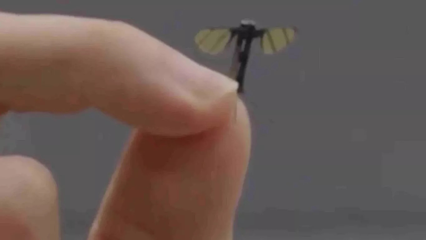 The tiny stealth drone The tiny stealth drone