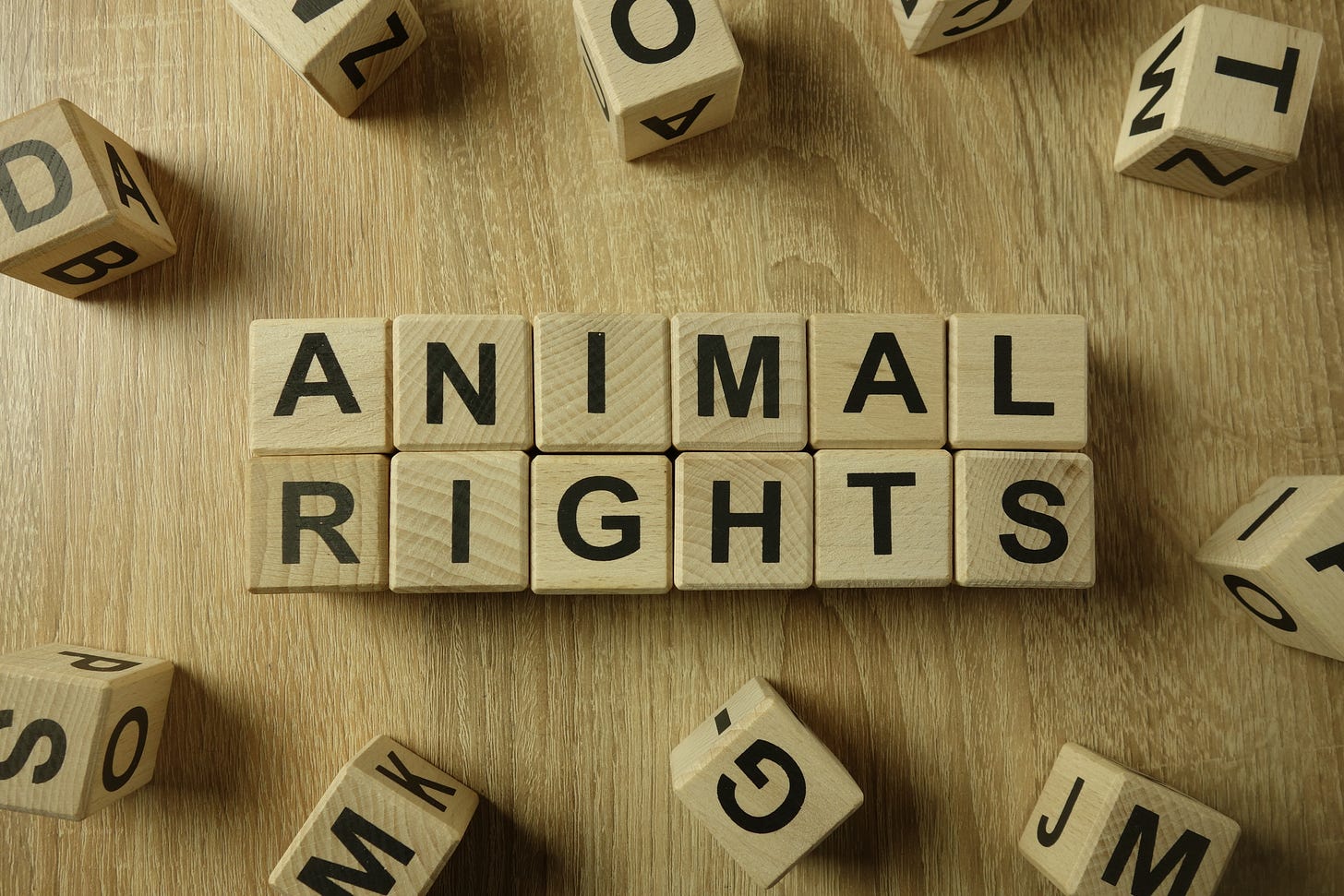 Be the Change: Your 7-Step Guide to Effective Animal Rights Activism