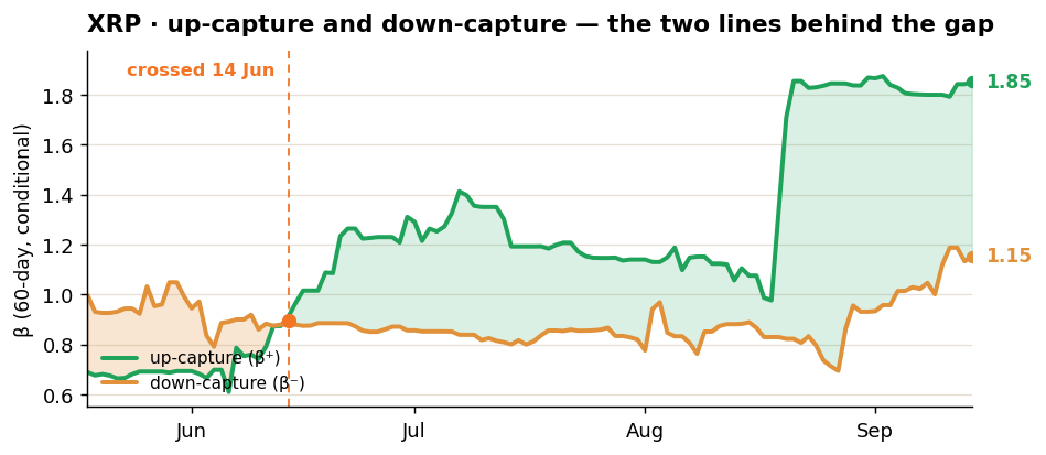 XRP up-capture and down-capture drawn together week 38 2026 by hayloo unchained XRP up-capture and down-capture drawn together week 38 2026 by hayloo unchained