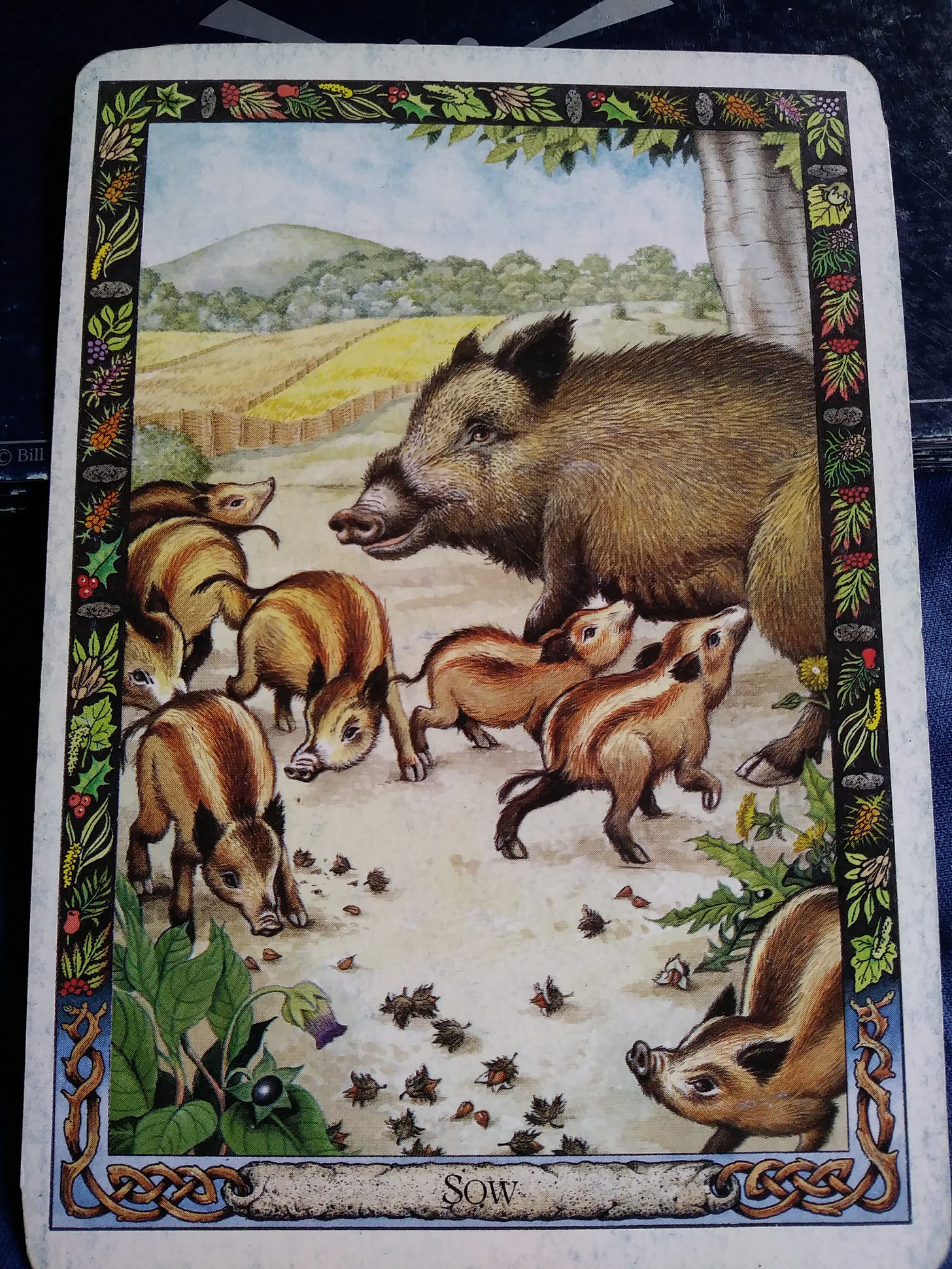 A Message from the Universe - Sow