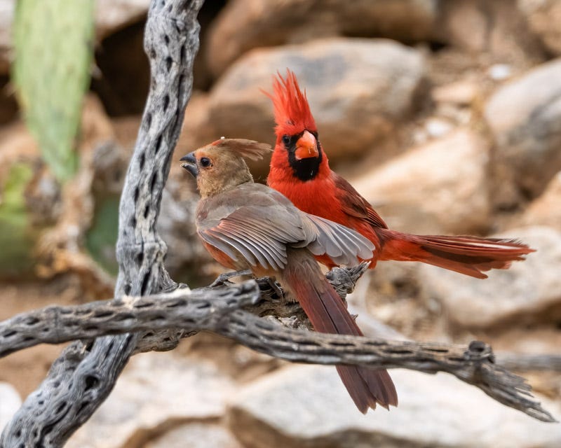 2025-531-MBY-86-Edit.jpg 2025-531-MBY-86-Edit.jpg