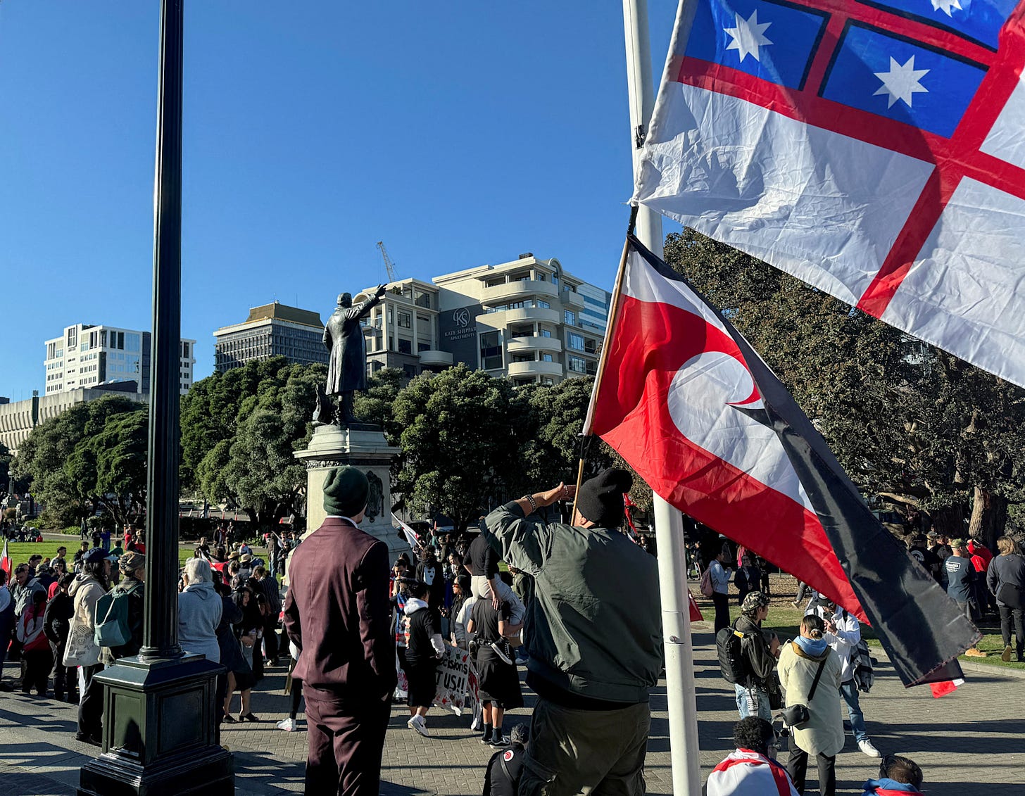 Indigenous protesters gather near Parliament in New Zealand, displaying Māori flags as a symbol of resistance and sovereignty Indigenous protesters gather near Parliament in New Zealand, displaying Māori flags as a symbol of resistance and sovereignty