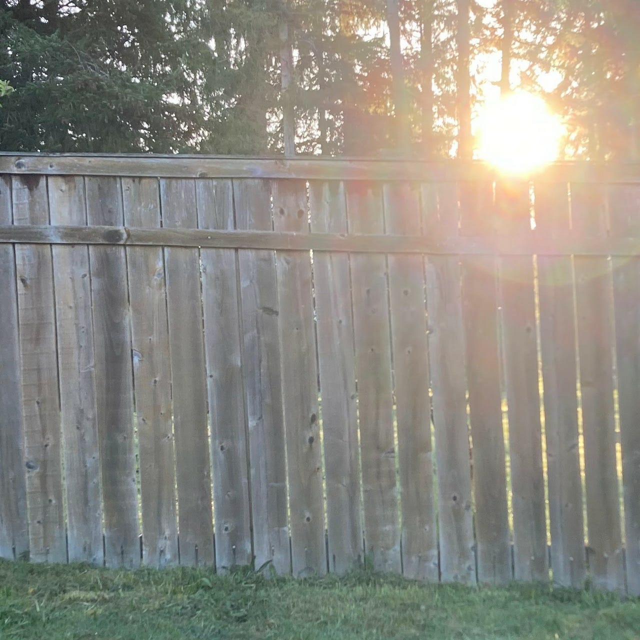 How the Light Gets Through