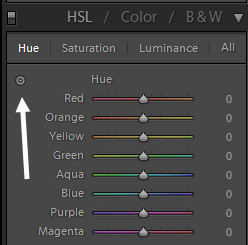 How to Fix Skin Tones in Lightroom