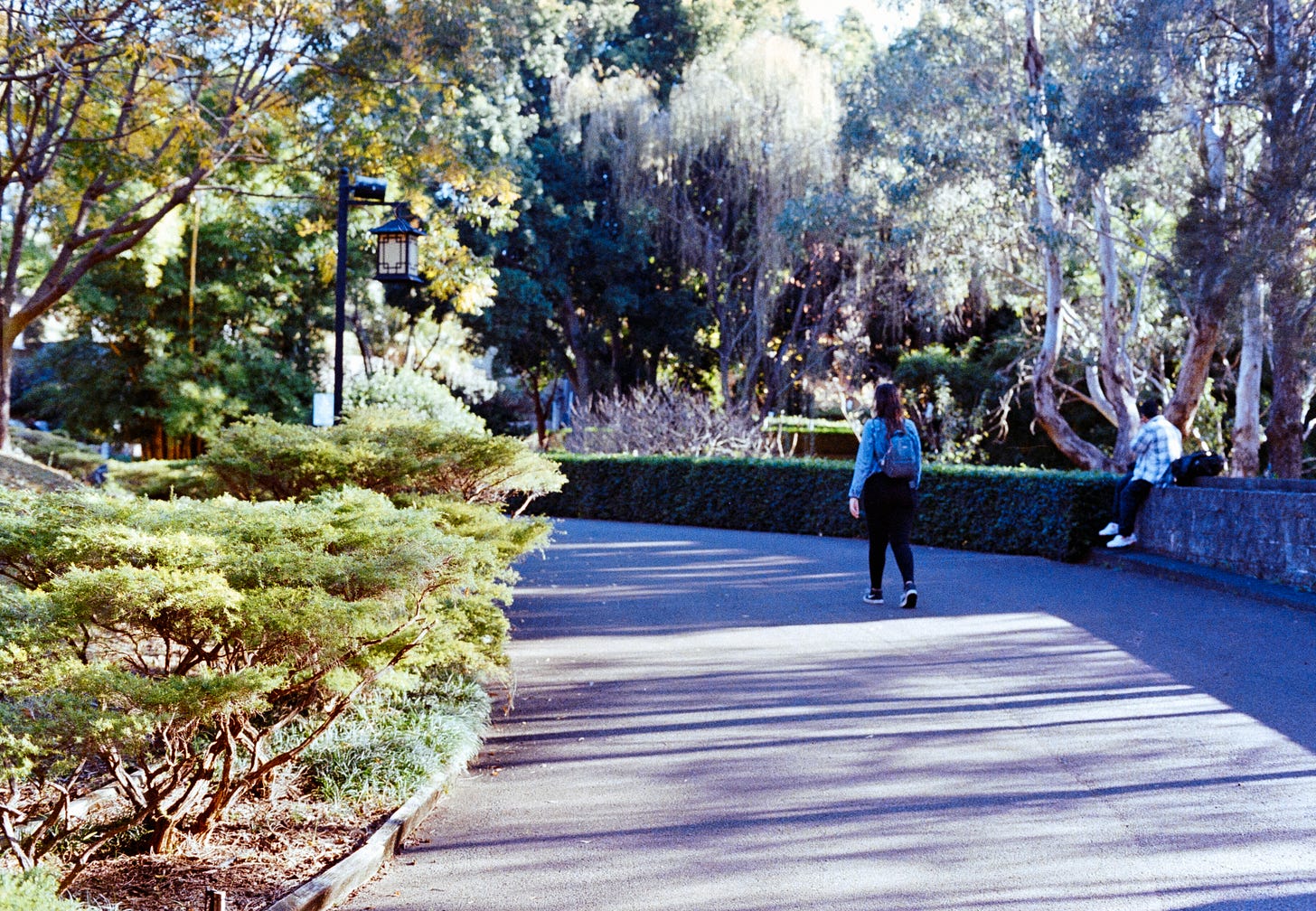 An image of Josie in the background as she walks away from the camera in amongst some lush gardens. An image of Josie in the background as she walks away from the camera in amongst some lush gardens.