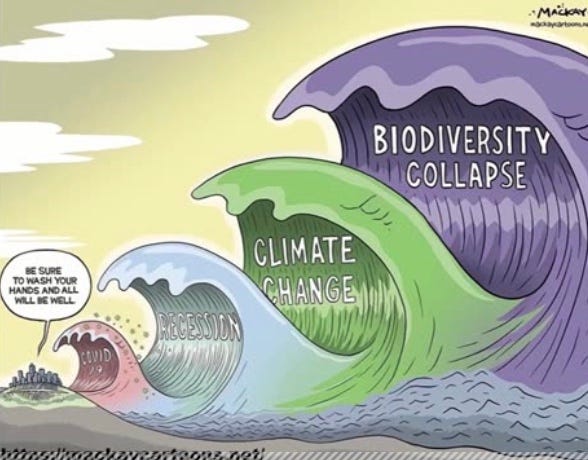 ONE HEALTH & ECOHEALTH FOR HELL ON EART & BURN BACK BETTER