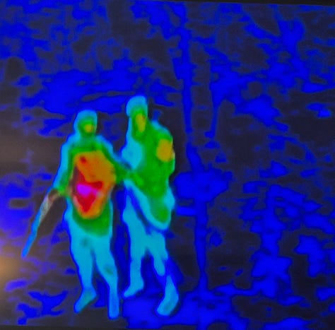 Predator vision - a thermal landscape