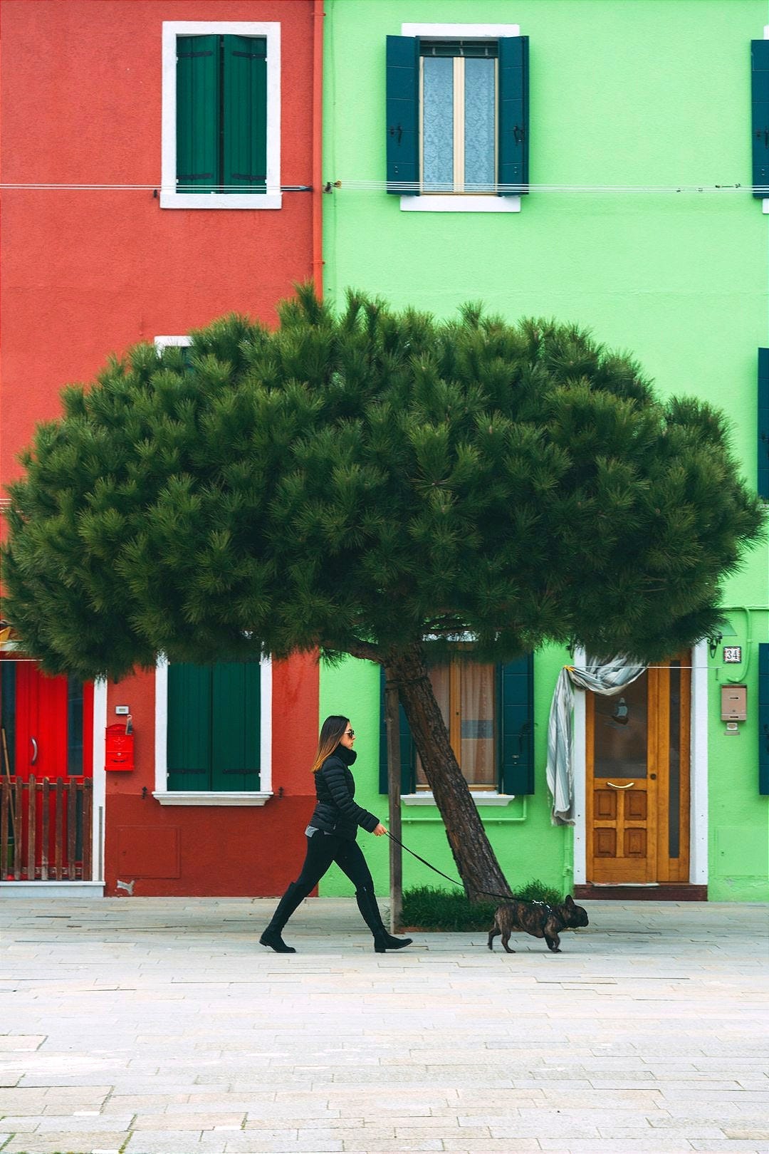 a person walking down a street past a tree a person walking down a street past a tree