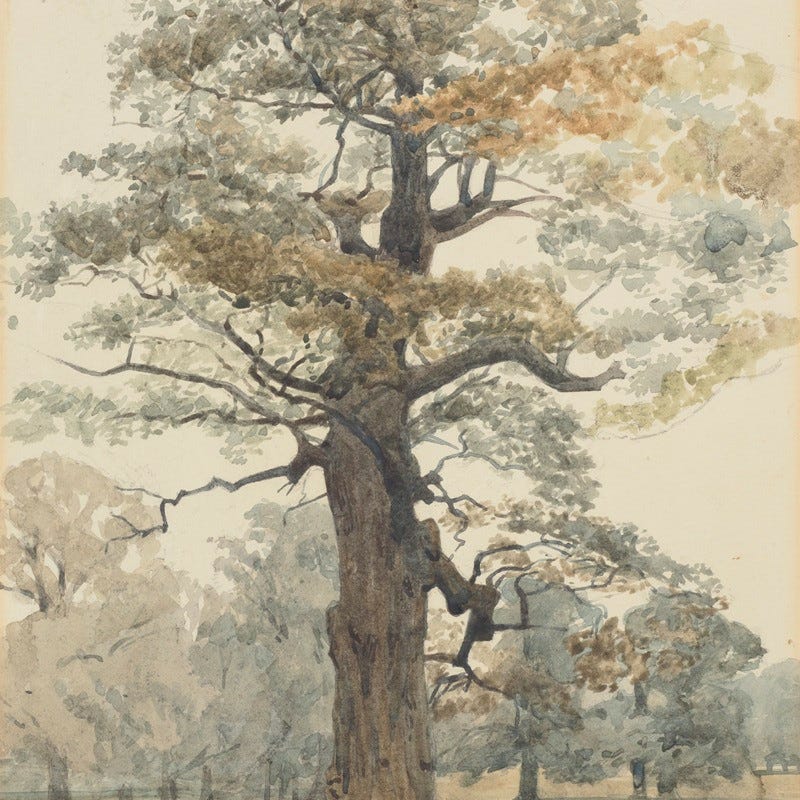 Artwork for Letters from Oakwood