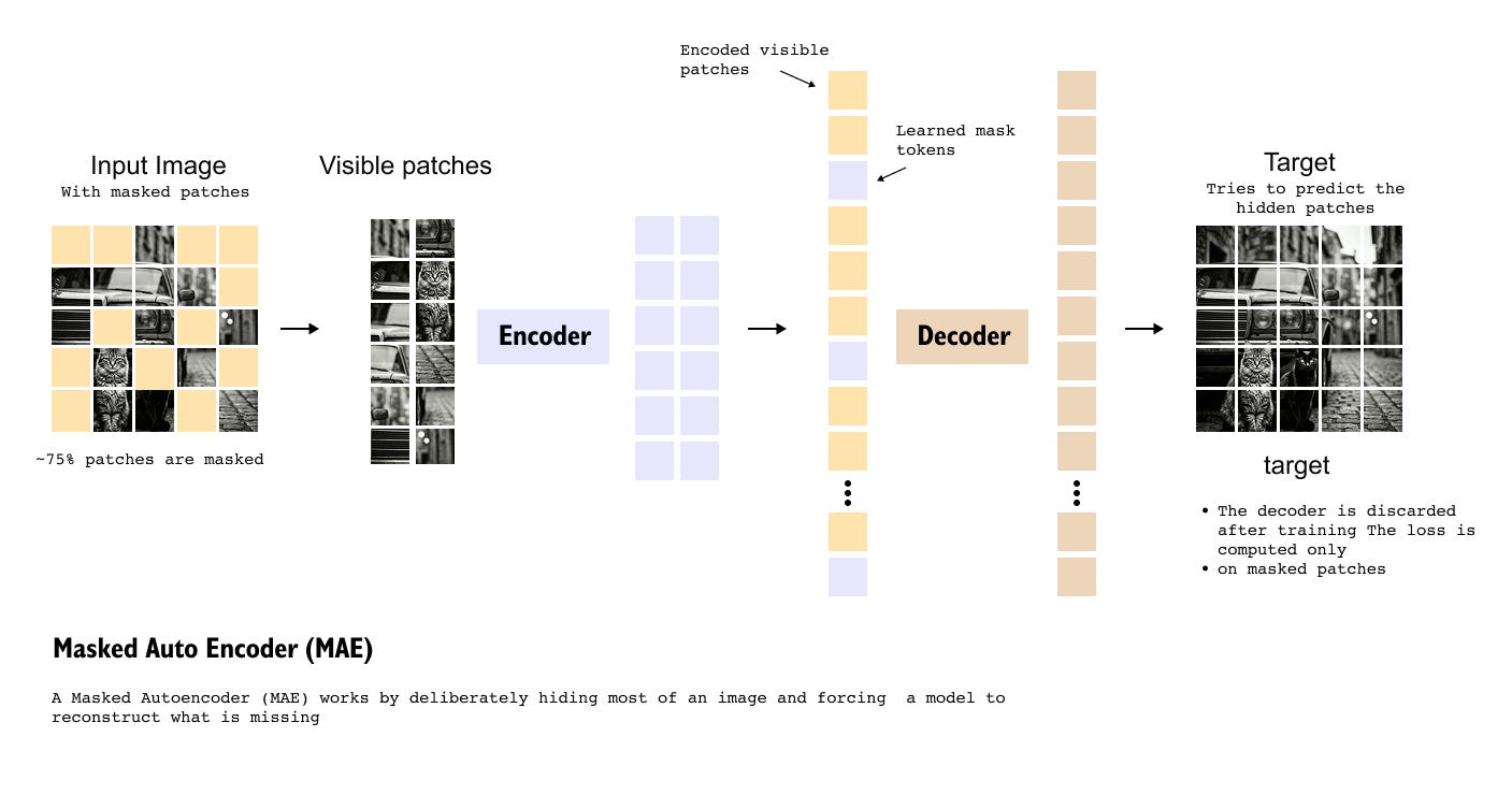 Segment Anything Model (SAM)