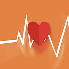 문과생 최단기 경력만들기