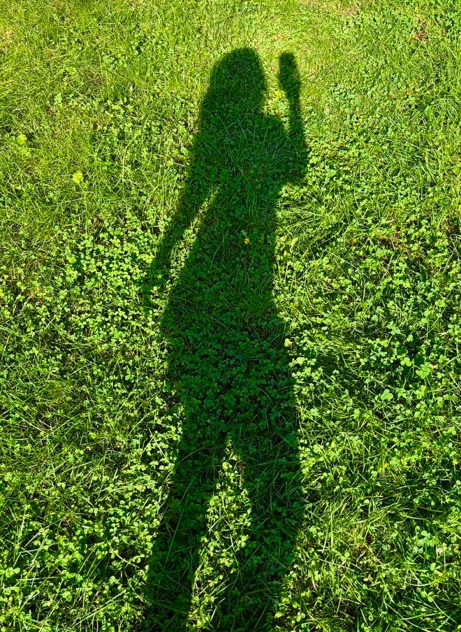a photo of christina nikols shadow in the grass on a hot sunny day
