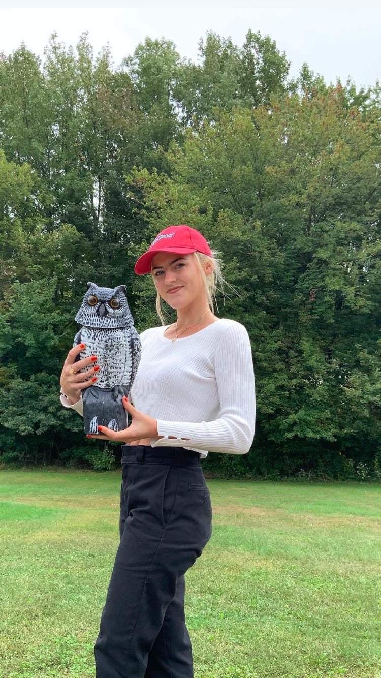 Artwork for Jillian’s Substack