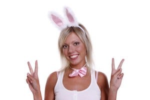 PBoyBunny PBoyBunny