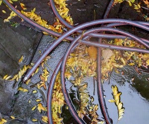 hosed