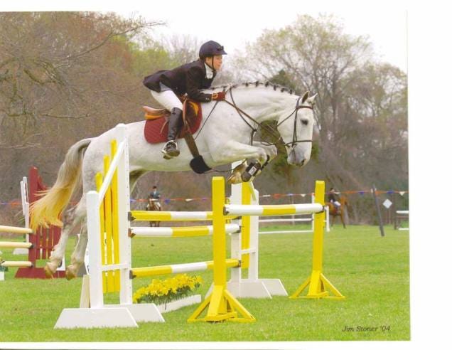 horse jumping horse jumping