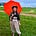 Evelyn McLean's avatar