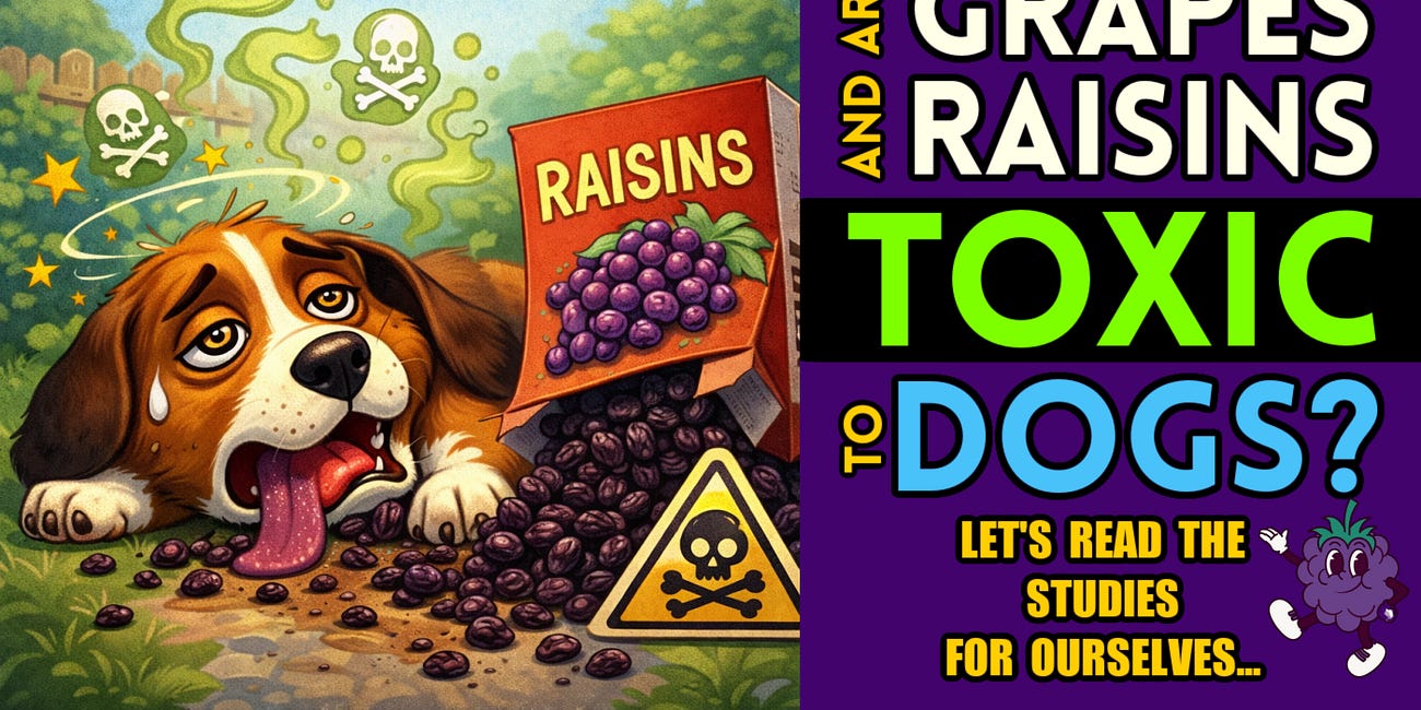 Are GRAPES and RAISINS Actually Harmful to Dogs? Let's Find Out...