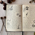 On starting a nature journal