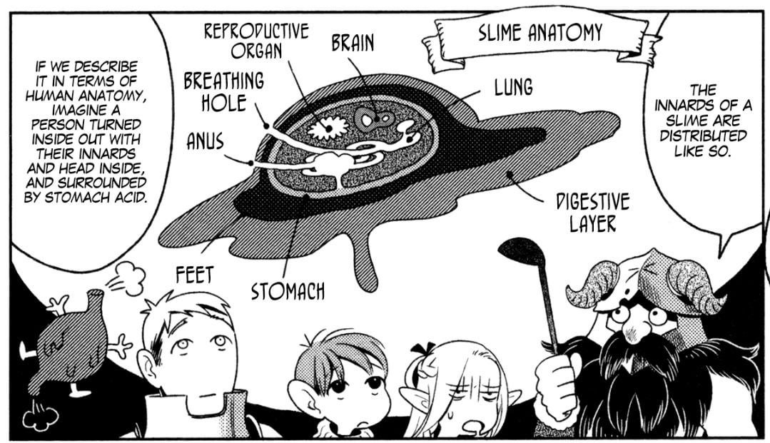 can someone give me a translation of this? just started watching and slime  anatomy seems really interesting to me. : r/DungeonMeshi
