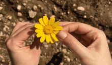 He Loves Me Not GIFs | Tenor He Loves Me Not GIFs | Tenor