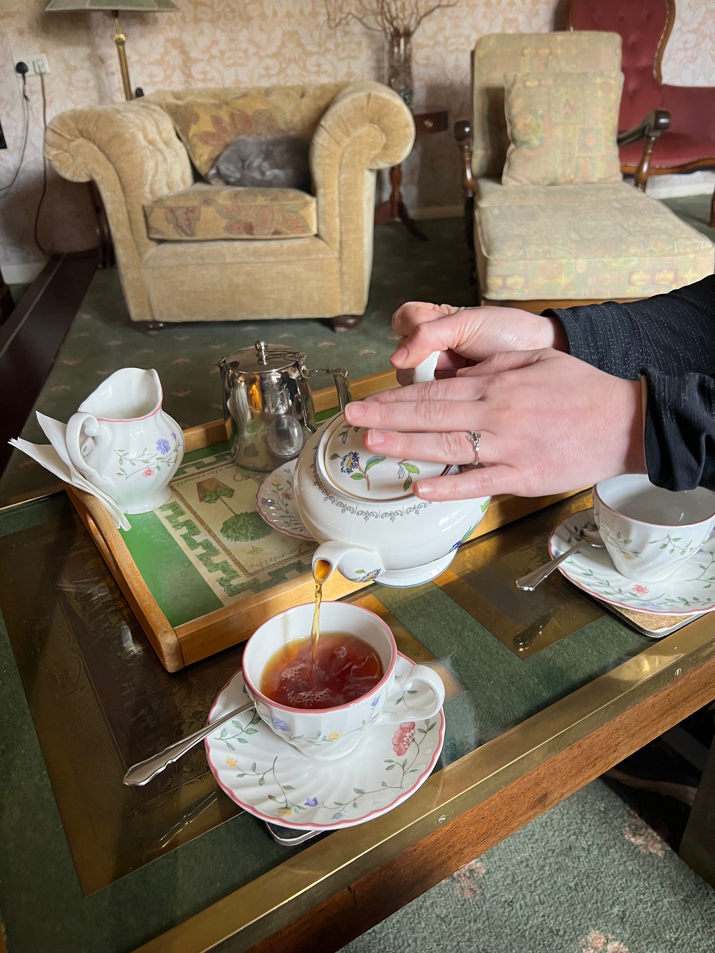 Hands holding a tea pot and pouring into a delicate teacup. A cat asleep on a chair in the background.
