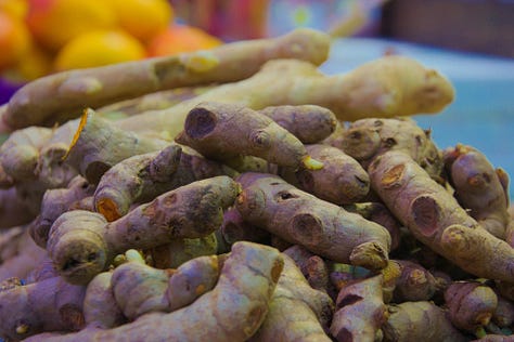 Turmeric plant, rhizome (root) and powder