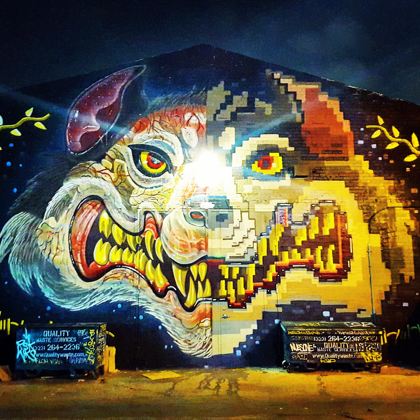 IMG_20170511_053356_463