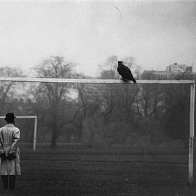 Schopenhauer’s Thought And Solving The Paradox To Lead A Fulfilled Life