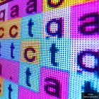 2006 Ralph Baric Paper Describes Synthetic 'Scapegoat' Viruses Engineered Digitally With False Origin 'Fingerprints' to Mislead Investigators