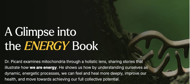 Energy Book Preview