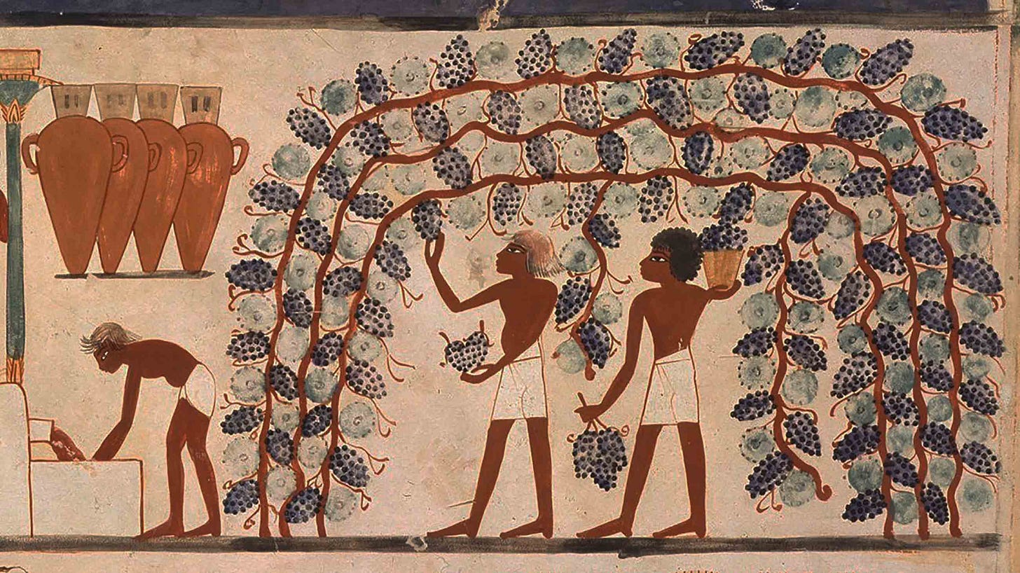 In Caves and Monasteries, Clues to Wine&#39;s Startling History
