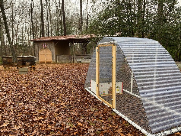 quail coop surrounded by fall leaves