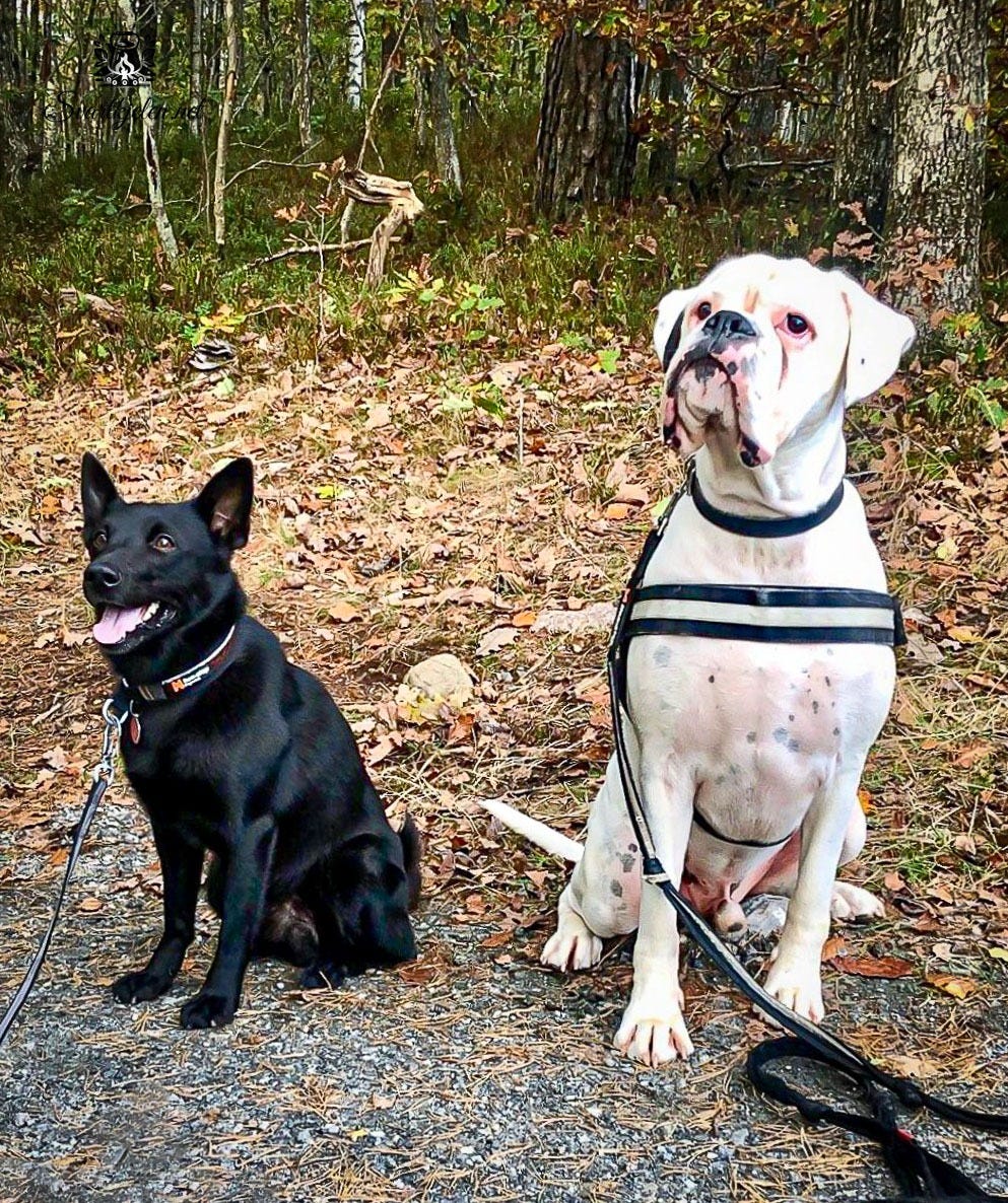 King Kenny og kompisen Yuki. King Kenny og kompisen Yuki.