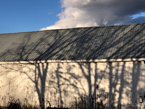 A collection of photos from a farm in Maine