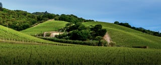 Blankiet vineyards Blankiet vineyards