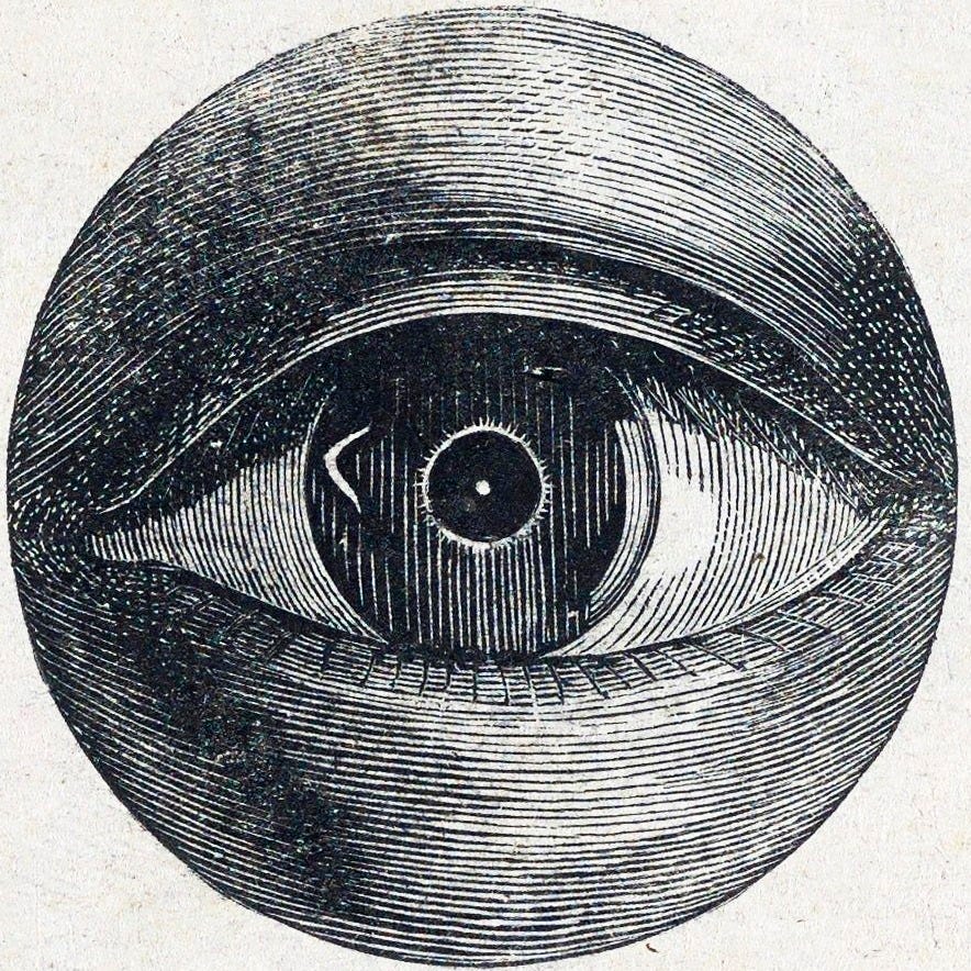 Make the Rules, Demonette!