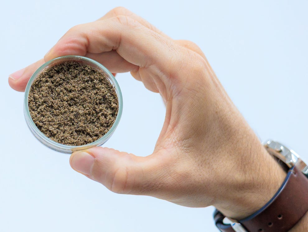 Uma mão segura um pequeno frasco de vidro transparente contendo um pó marrom granulado. No pulso, a pessoa usa um relógio com pulseira de couro marrom. O fundo é uma parede de cor cinza-azulada clara e lisa.