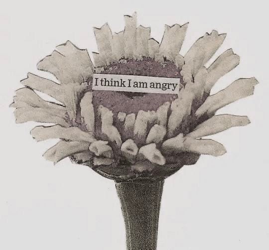 This may contain: a black and white photo of a flower with the words think i am angry on it This may contain: a black and white photo of a flower with the words think i am angry on it
