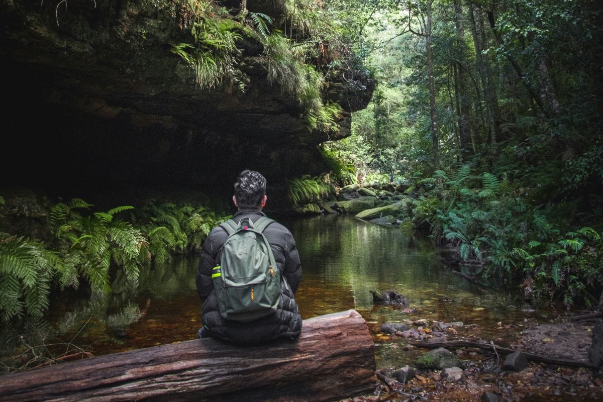 Pondering planetary health in the blue mountains Pondering planetary health in the blue mountains