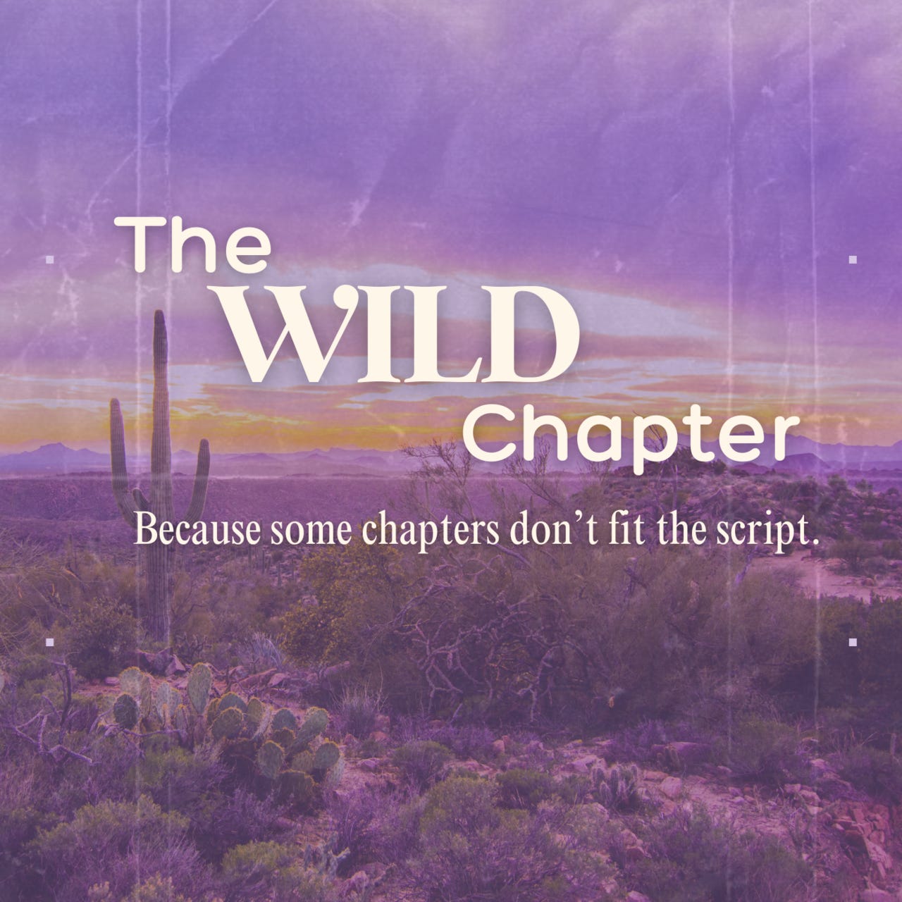 The Wild Chapter 