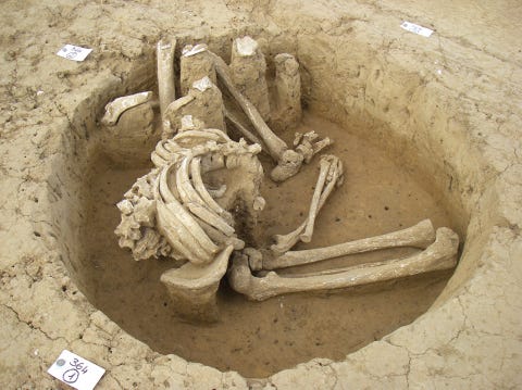 Fig. 1 – Example of a La Tène deceased buried in the typical “seated” position, rue de Plainval in Saint-Just-en-Chaussée Fig. 1 – Example of a La Tène deceased buried in the typical “seated” position, rue de Plainval in Saint-Just-en-Chaussée