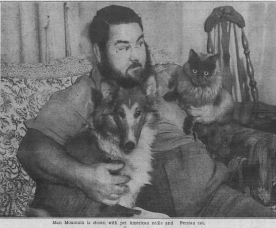 May be an image of text that says 'Man Mountain la showa with pet American collle and Persian cat.'
