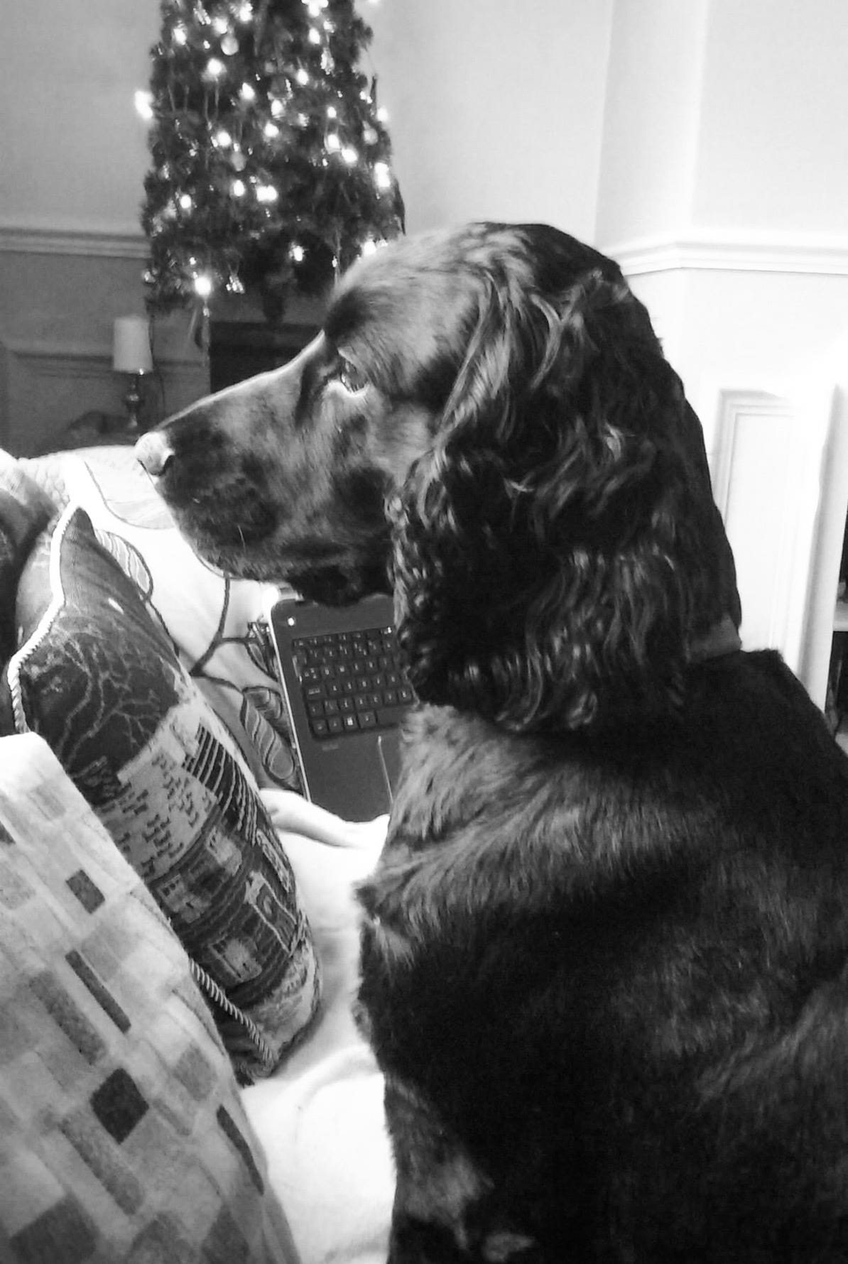 Artwork for Andrew Aveyard