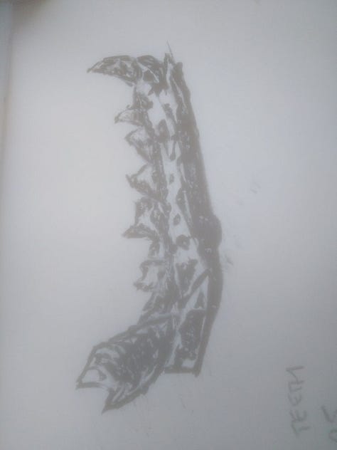 Pencil sketches of various figurines (Venus, animals), patterns, and animal teeth from Archeopark Pavlov