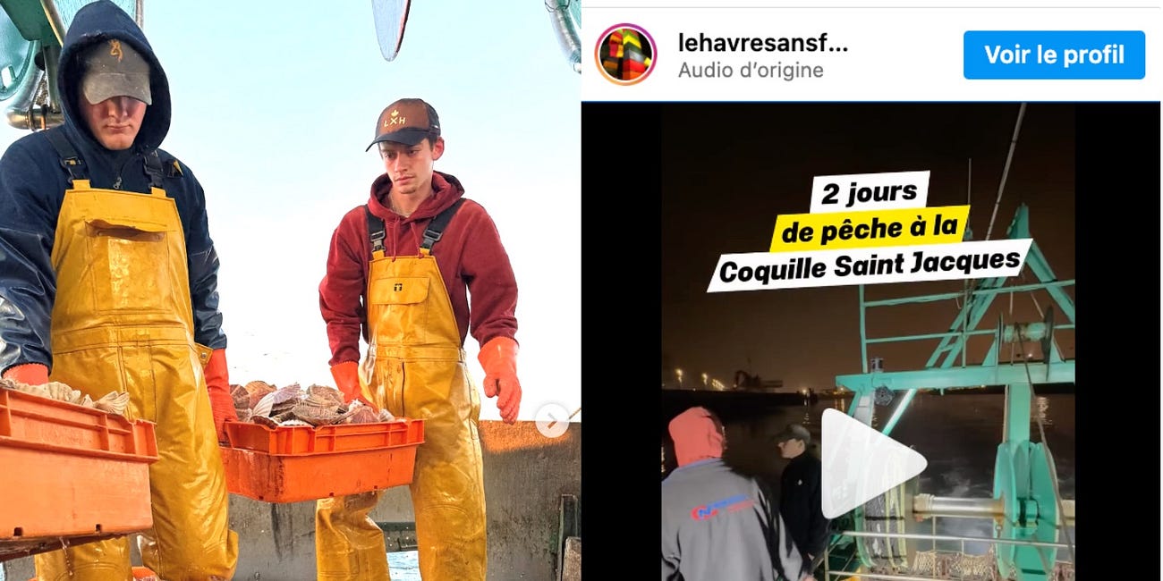 La Compil’ : Pêche à la Coquille sur le Gros Minet