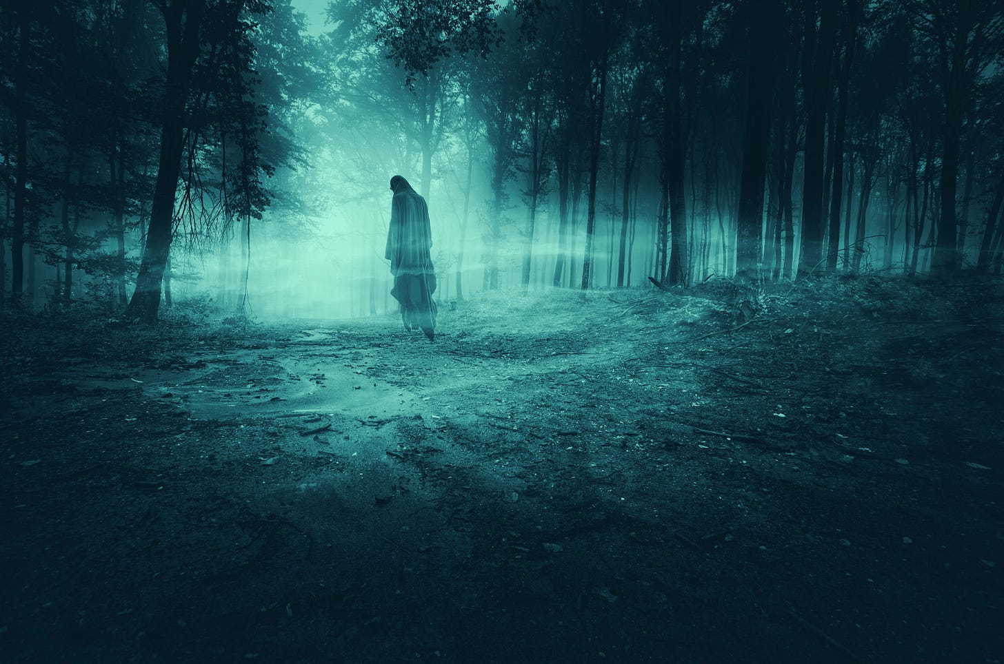 A solitary ghost in a foggy forest A solitary ghost in a foggy forest